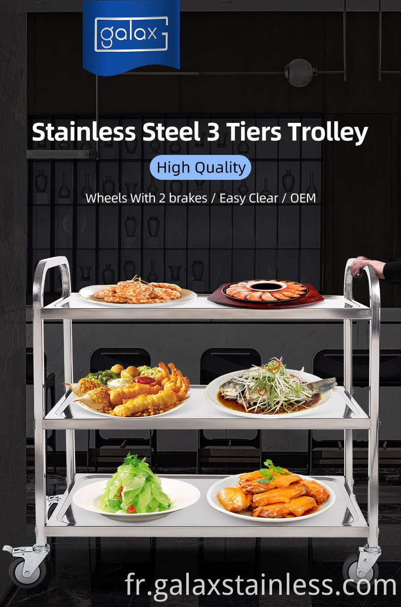 Stainless Steel Trolley